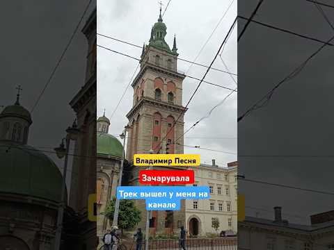 Владимир Песня / Зачарувала #shorts #short #шортсвидео