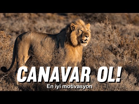 CANAVAR OL - En İyi Motivasyon Videosu