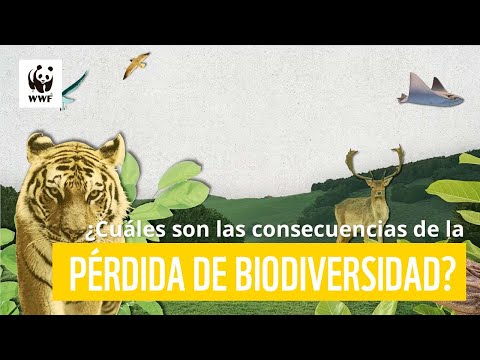 Video: ¿Cómo afectan los humanos a la pérdida de hábitat?
