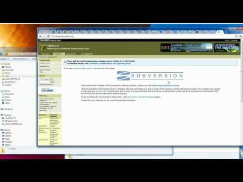 How to Put a Project under SVN Source Control
