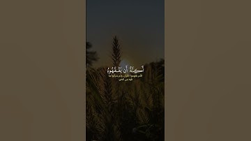 #القارئ فارس عباد