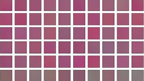 Neural Networks Plays an Open-ended Game