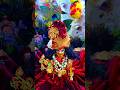 🦚राधा ढूंढ रही किसी🥰ने मेरा श्याम देखा🌈#krishna #song #sorts #love #petshub #secondmarriage