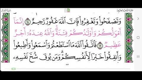 سورة التغابن من الاية١٣ الى ١٥ القارئ محمد ايوب
