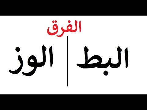 فيديو: هل البجعة البيضاء تبعد الإوز؟