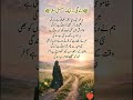 Zindagi #poetry #shaayri #love #shorts #subscribe