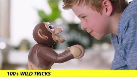 Zoomer | Meet Zoomer Chimp! | TV Commercial