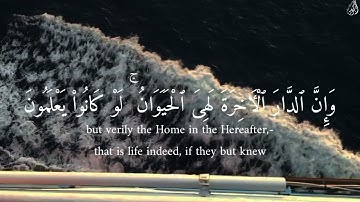 وَإِنَّ الدَّارَ الْآخِرَةَ لَهِيَ الْحَيَوَانُ - (آيات من سورة العنكبوت) - القارئ عبدالرحمن مسعد