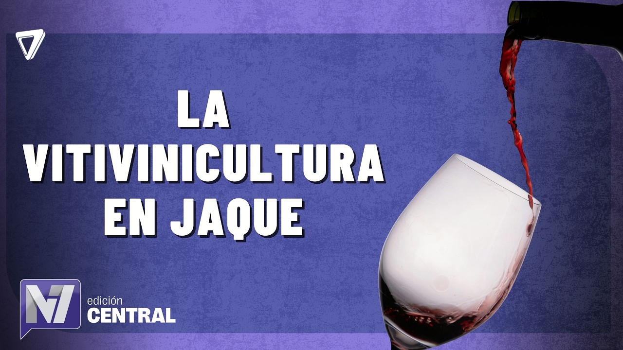 Crisis vitivinícola en Mendoza: cosecha y precios en baja