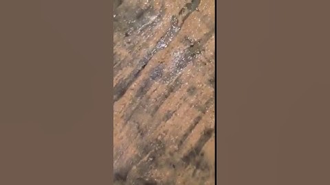 How to remove wood floor glue