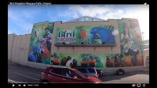 Bird Kingdom Niagara Falls, Ontario