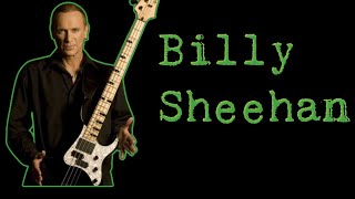 Todd Dammit Kerns Talks To Billy Sheehan