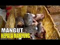 MANGUT KEPALA MANYUNG | JEJAK SI GUNDUL