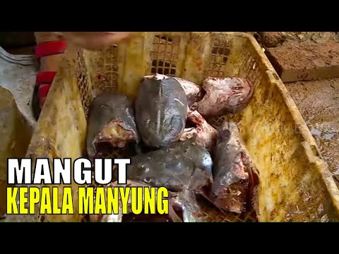 Ikan Asap Kepala Manyung