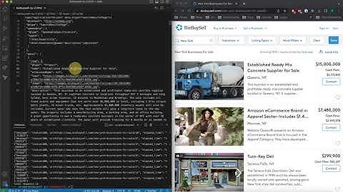How to scrape BizBuySell with Python and aiohttp, to get all businesses for sale in New York