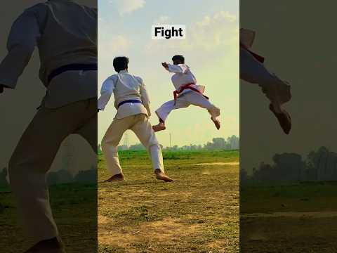 Martial Arts fight training #shorts #karate