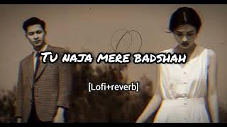 Tu naja mere badshah ❤️🩹 lofi reverb jeneration old lofi reverb jeneration