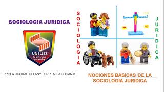 NOCIONES BASICAS DE LA SOCIOLOGIA JURIDICA