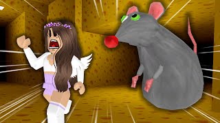 This Giant Rat Chases You... (Roblox Cheese Escape)