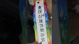 어버이날 유아원 손녀가 꽃 대신 제가 왔어요라고