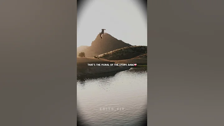 moral of the story song by ashe❤️‍🩹🥀 #shorts #music #aesthetic #shortsfeed