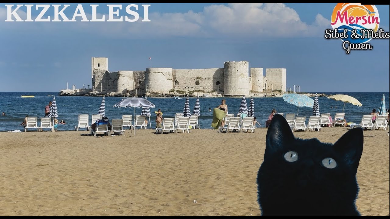 MERSİN. Miyav Miyav Seni Yaramaz Kedi YouTube