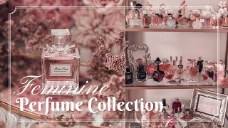 Feminine Perfume Collection | Best Perfumes for Women 2024