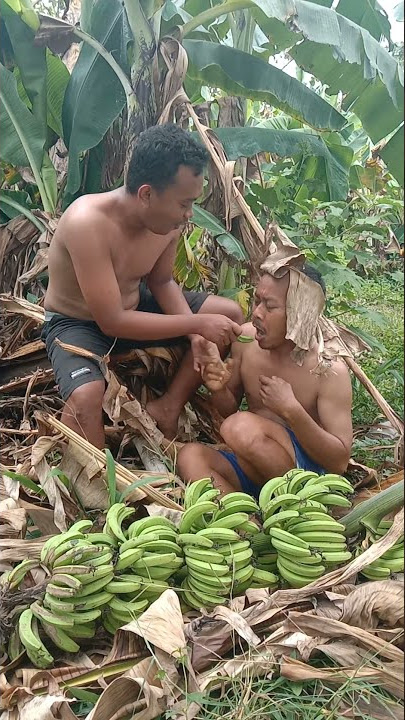 STORY WA LUCU parodi KING KONG#shorts#tiktok