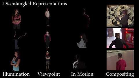 Learned Disentangled Representations for Perception Tasks