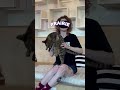 Guessing Our Cafe Cats Blindfolded