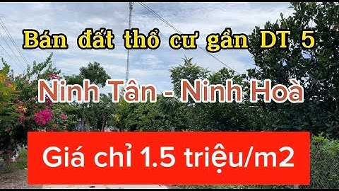Bán đất thổ cư gần tỉnh lộ 5 Ninh Tân Ninh Hoà. Giá chỉ 1.5 triệu/m2