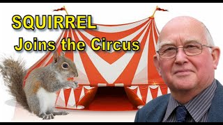 Should this Squirrel really be in a Circus