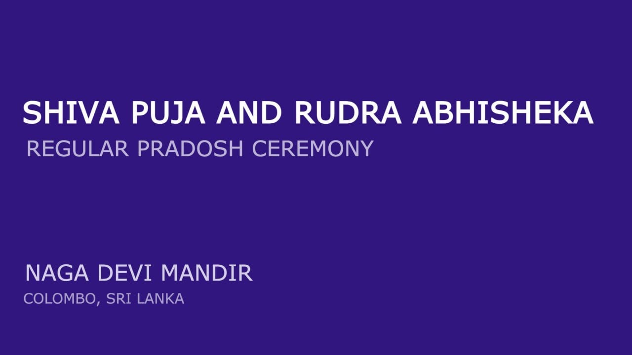 Пост Шивы Прадош 30.01.2026 🔴 Шива пуджа и Рудра Абхишека 🔴 Начало 14.00 по Мск 🔴 Храм Нага Деви