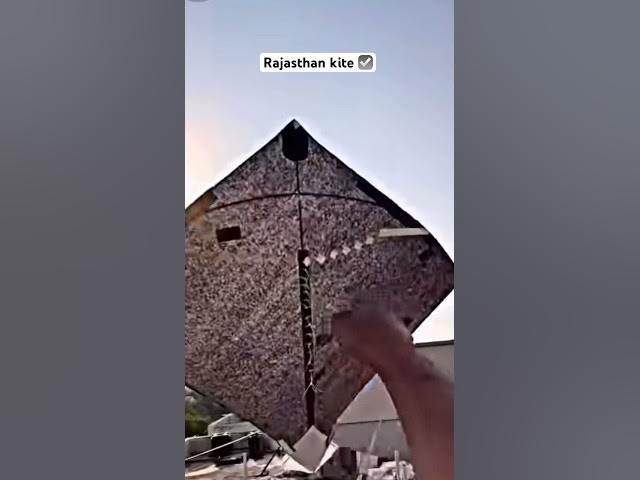 Kite short video 🙏❤️Rajasthan vs Panjab vs UP best patang 👀 #kitelover