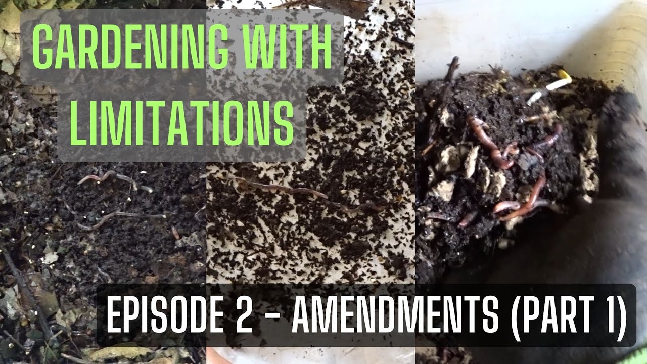 Impaired Growing Series: Amendments (Part 1) Setting Up A Simple Worm Bin