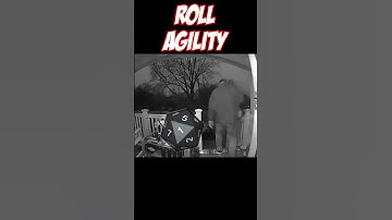 When You Fail Your Agility Saving Throw In D&D