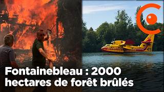 🔥 Fontainebleau : 2000 hectares brûlés dans le plus grand feu de forêt en Île de France - Incendie