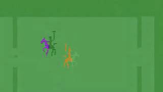 Celebrity Polo - Atari 2600 - 1978 Profile