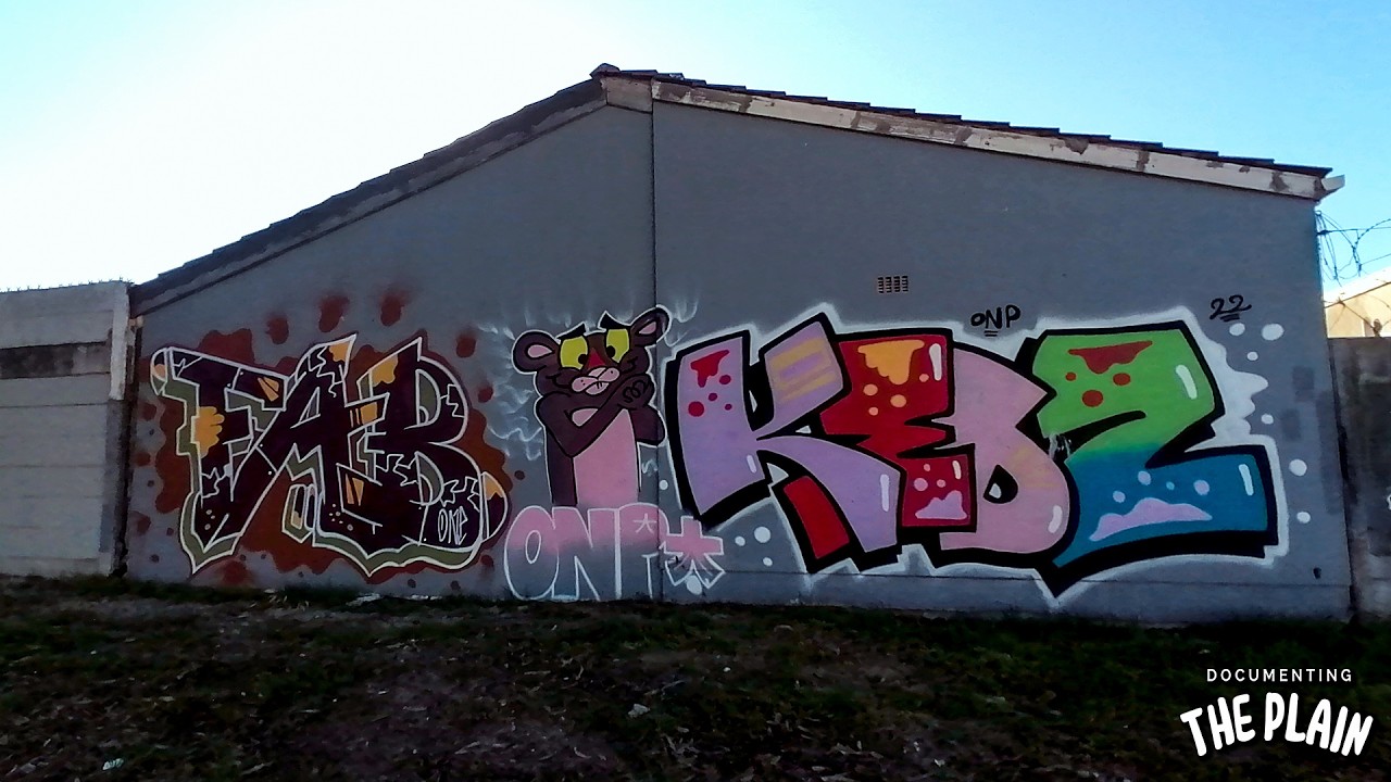 Documenting The Plain - Part 8 [Graffiti Art + Wall Art]