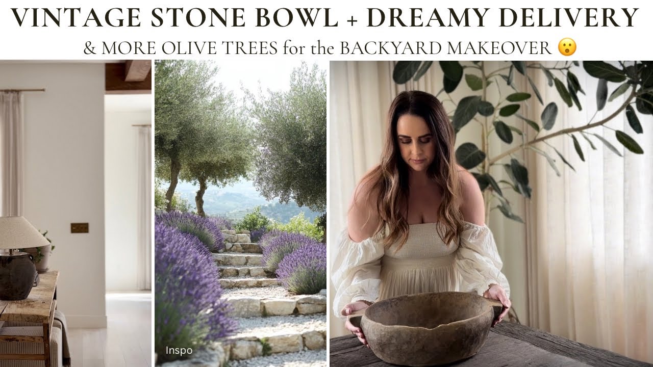 High-End Home Styling + Backyard Olive Tree Transformation | Earthy ...