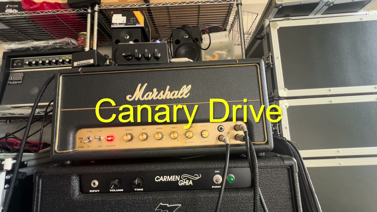 楽器、器材 320design Canary Drive