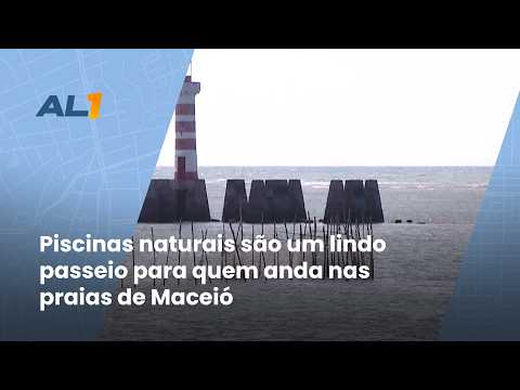 Maré baixa revela piscinas naturais e transforma praias de Maceió 28/8/26