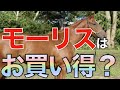 【本領発揮】モーリス産駒は今がお買い得？ノーザンFを信じるならこの種牡馬。【一口馬主】