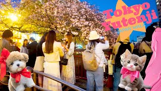 Tokyo Yutenji🐶🍻When the cherry blossoms fall♪💖4K relax/study non-stop 1 hour 03 minutes