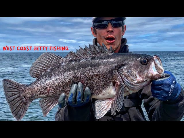 EXTREME Jetty Fishing ACTION!  I Will NEVER Experience A Day Of Jetty  Fishing Like This Again! 