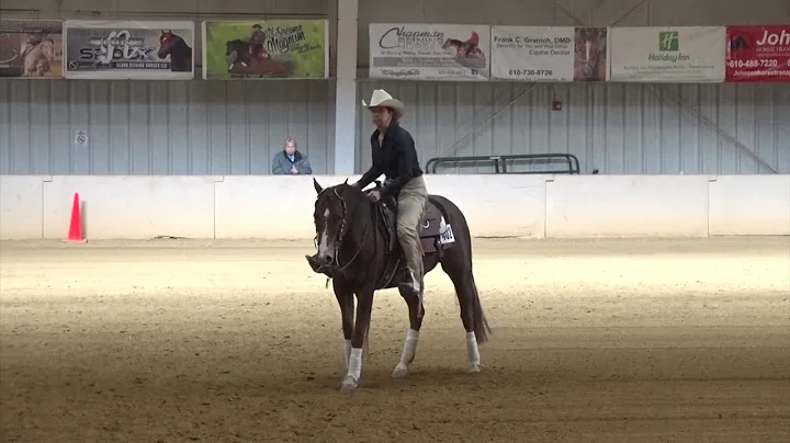171104 Annemarie Berube ON Schubies Whiz NP