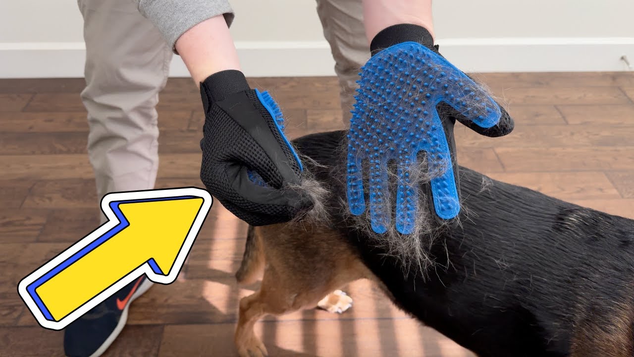 See these DELOMO Grooming Gloves in Action on our dog! YouTube