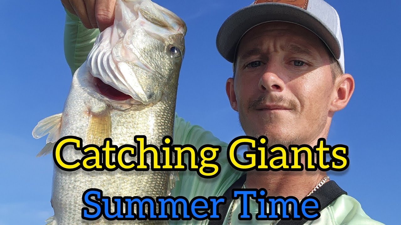 The BEST BIG BASS Pattern For SUMMER Fishing #bassfishing #summertime