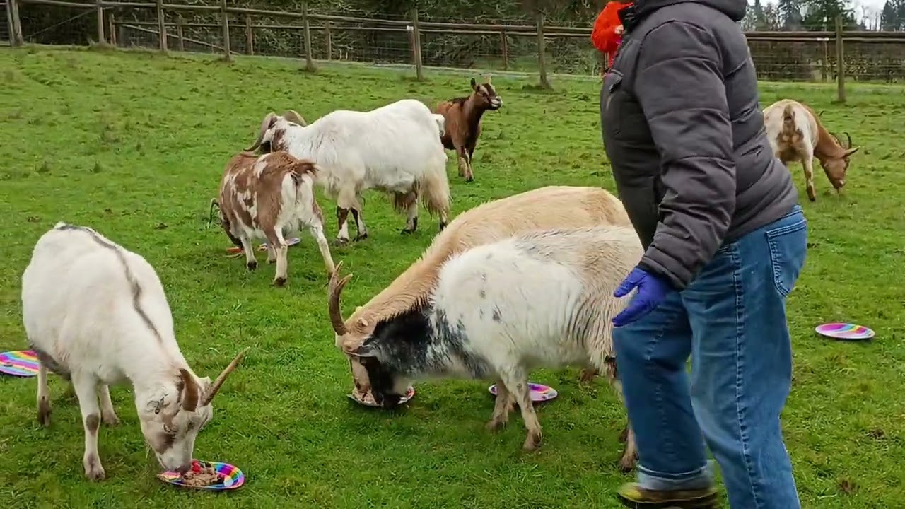 Birthday party for rose.