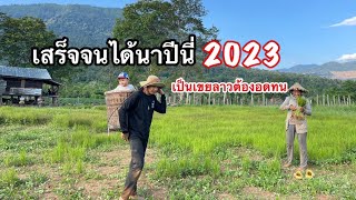 เสร็จแล้วดำนาปี2023กับเขยลาวนาพ่อตาแม่ยายที่ประเทศลาว l เป็นเขยลาวไม่ใช่เรื่องง่ายบอกไว้เลย